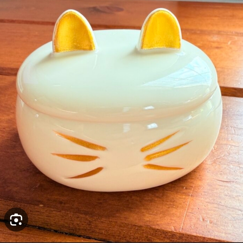 Cute Cat Ear Trinket Box